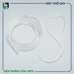 day tho oxy mpv (2).jpg