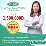 CHI-PHI-PHA-THAI-BANG-THUOC-BAO-TIEN.jpg