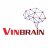 vinbrain